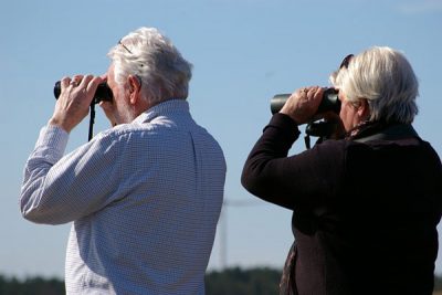 binoculars-2194228_normalizada